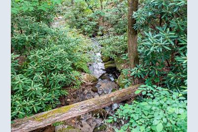 Lot 2072 Anthony Court, Mill Spring, NC 28756 - Photo 12