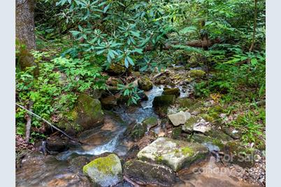 Lot 2072 Anthony Court, Mill Spring, NC 28756 - Photo 2