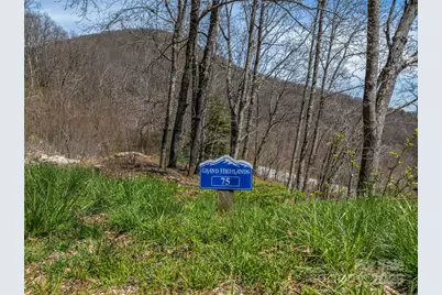 370 Autumn Ridge Lane #75, Hendersonville, NC 28792 - Photo 1