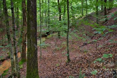 0 Midnight Pass #337, Rutherfordton, NC 28139 - Photo 4