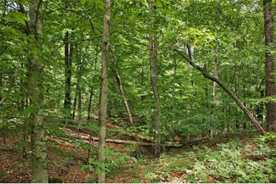 0 Midnight Pass #337, Rutherfordton, NC 28139 - Photo 2