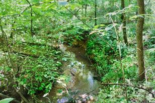 0 Woodstock Ln, Rutherfordton, NC 28139 - Photo 1