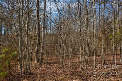 0 Woodstock Lane #175, Rutherfordton, NC 28139 - Photo 1