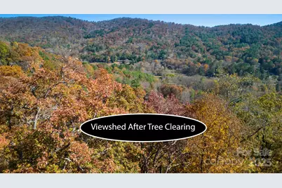 000 Vance Gap Road, Asheville, NC 28804 - Photo 12