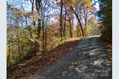 000 Vance Gap Road, Asheville, NC 28804 - Photo 14