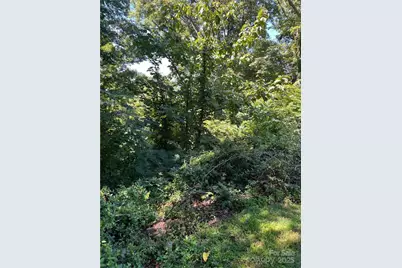 000 Vance Gap Road, Asheville, NC 28804 - Photo 16