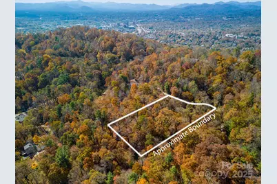 000 Vance Gap Road, Asheville, NC 28804 - Photo 4