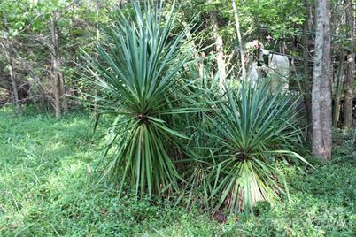 0 Hoover Road, Troutman, NC 28166 - Photo 30