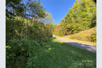 46 Holmstead Drive #46, Lake Lure, NC 28746 - Photo 1