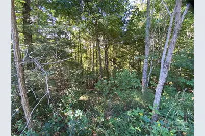 46 Holmstead Drive #46, Lake Lure, NC 28746 - Photo 22