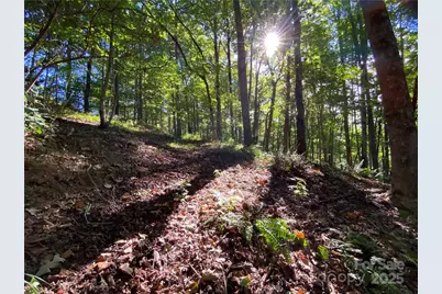 46 Holmstead Drive #46, Lake Lure, NC 28746 - Photo 24