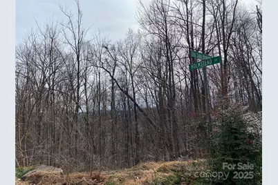 46 Holmstead Drive #46, Lake Lure, NC 28746 - Photo 6