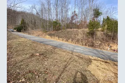 46 Holmstead Drive #46, Lake Lure, NC 28746 - Photo 2