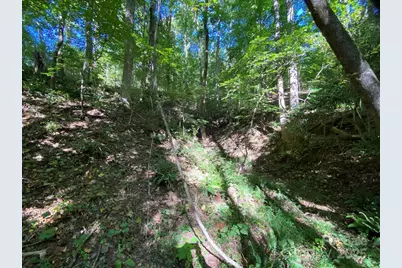 46 Holmstead Drive #46, Lake Lure, NC 28746 - Photo 20