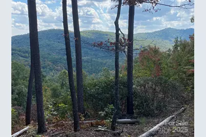 61 Scenic Vista Drive #238, Nebo, NC 28761 - Photo 6