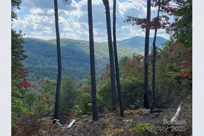 61 Scenic Vista Drive #238, Nebo, NC 28761 - Photo 1