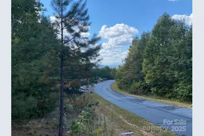 61 Scenic Vista Drive #238, Nebo, NC 28761 - Photo 8