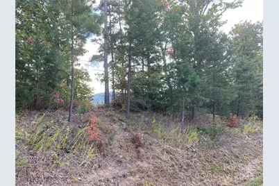 61 Scenic Vista Drive #238, Nebo, NC 28761 - Photo 12