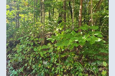 00 Staymon Road #229, Waynesville, NC 28786 - Photo 2