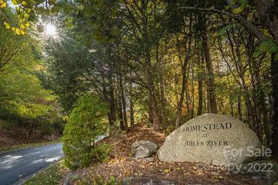 99999 Shining Rock Path, Horse Shoe, NC 28742 - Photo 1