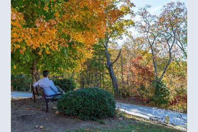 1736 Wood Owl Court #36R, Hendersonville, NC 28791 - Photo 6