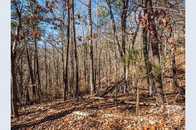 6 Tylers Run #12, Candler, NC 28715 - Photo 20