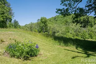 99999 Merrills Cove Rd, Asheville, NC 28803 - Photo 28