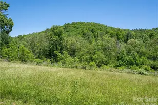 99999 Merrills Cove Rd, Asheville, NC 28803 - Photo 8