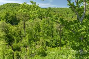 99999 Merrills Cove Rd, Asheville, NC 28803 - Photo 34
