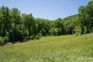 99999 Merrills Cove Rd, Asheville, NC 28803 - Photo 26