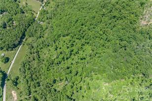 99999 Merrills Cove Rd, Asheville, NC 28803 - Photo 28