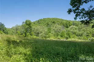 99999 Merrills Cove Rd, Asheville, NC 28803 - Photo 30
