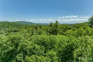 99999 Merrills Cove Rd, Asheville, NC 28803 - Photo 40