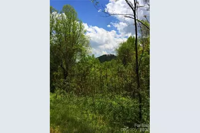 187 Starling Pass None #102, Asheville, NC 28804 - Photo 6