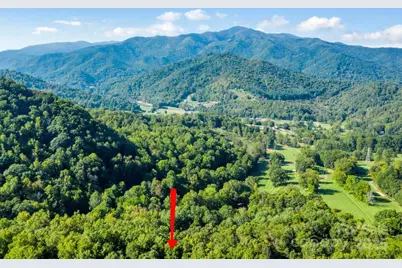 0 Alpine Ridge #D-11, Canton, NC 28716 - Photo 8