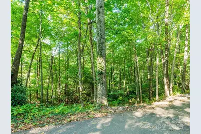 0 Alpine Ridge #D-11, Canton, NC 28716 - Photo 10