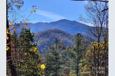 0 Alpine Ridge #D-11, Canton, NC 28716 - Photo 1