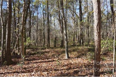 10.64 Ac Burree Road, Clover, SC 29710 - Photo 18