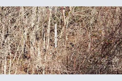 000 Greenville Highway, Brevard, NC 28712 - Photo 16