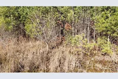 000 Greenville Highway, Brevard, NC 28712 - Photo 18