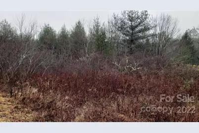 000 Greenville Highway, Brevard, NC 28712 - Photo 2