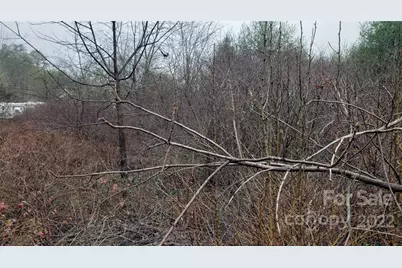 000 Greenville Highway, Brevard, NC 28712 - Photo 4