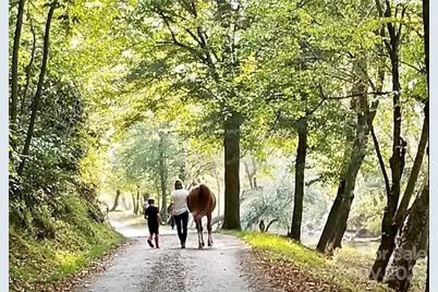 2.29 Acres Lot 94 Crescent Ridge Drive #94, Lenoir, NC 28645 - Photo 16