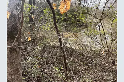 161 Little River Trail, Lancaster, SC 29720 - Photo 6