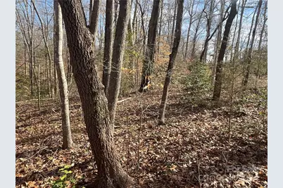 161 Little River Trail, Lancaster, SC 29720 - Photo 8