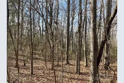 161 Little River Trail, Lancaster, SC 29720 - Photo 20