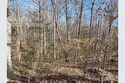 161 Little River Trail, Lancaster, SC 29720 - Photo 10