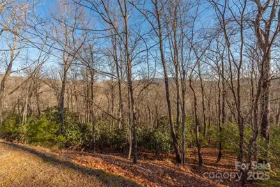 80 Buckhead Trail #27, Horse Shoe, NC 28742 - Photo 6