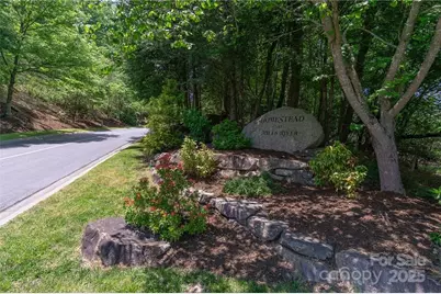 80 Buckhead Trail #27, Horse Shoe, NC 28742 - Photo 2