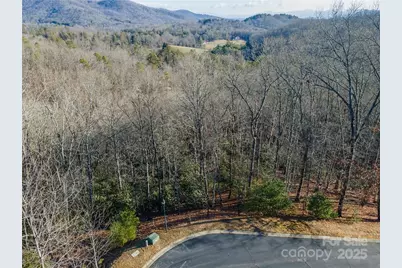 80 Buckhead Trail #27, Horse Shoe, NC 28742 - Photo 8